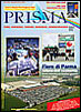 PRISMA N. 81